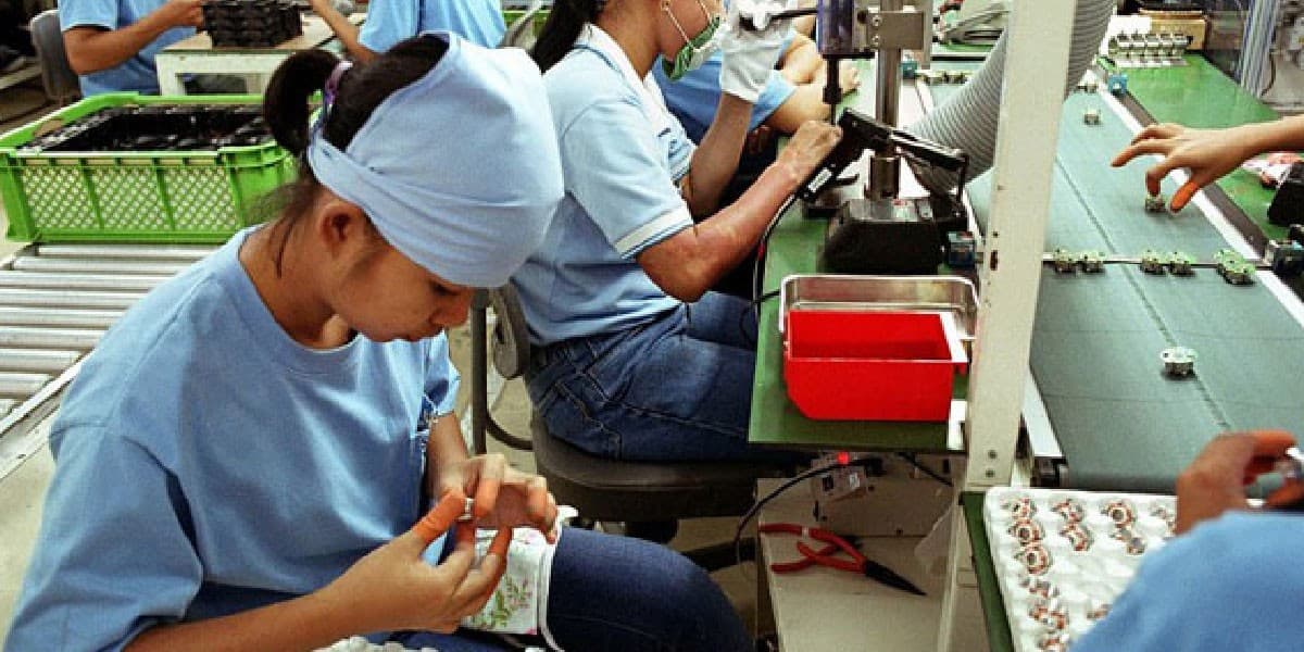 Labor group calls for deep reforms beyond leadership changes