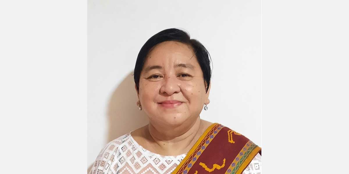 Bercilla speaks at EU-Indo-Pacific  high-level climate change webinar