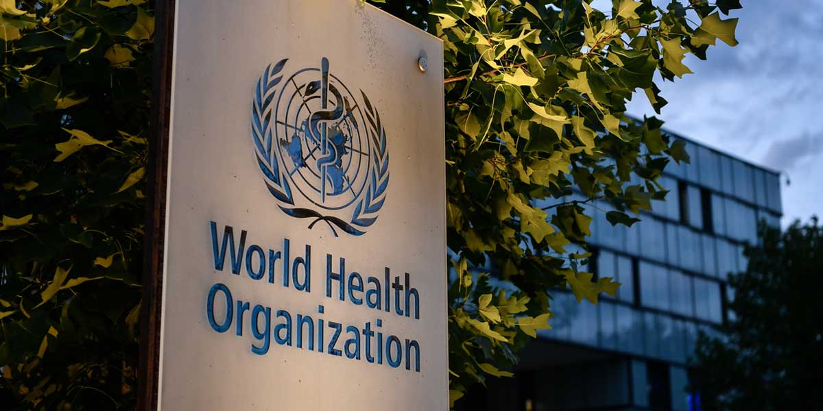 COVID-19 Most Likely Came From Animals, WHO Says