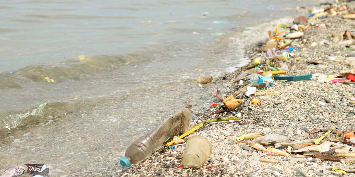 WWF-PHL asserts support to the UN Environment Assembly in adopting new treaty on plastic pollution