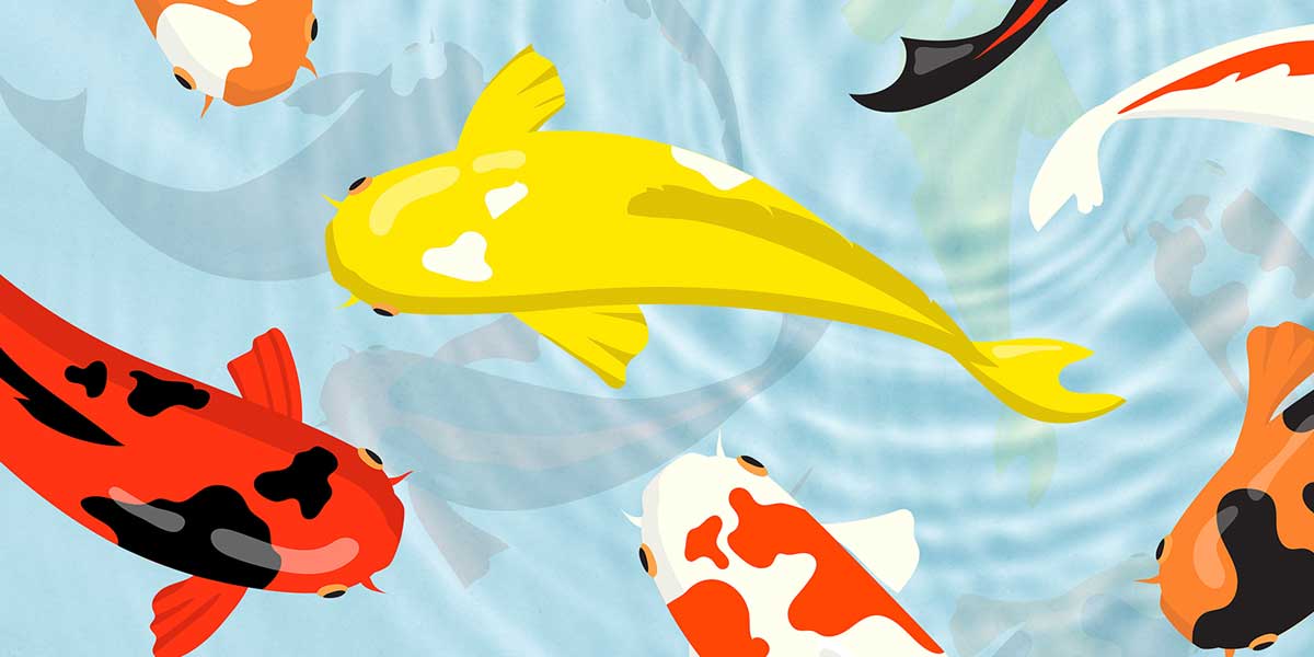 Japan Foundation Manila Presents:  Nihongo Fiesta 2024 – Celebrating Language, Culture, and Creativity