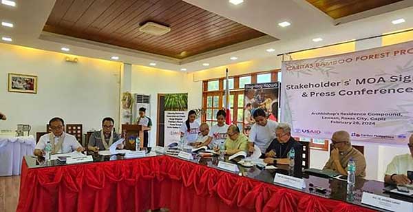 Bamboo forest initiative aims to  combat climate change in Capiz