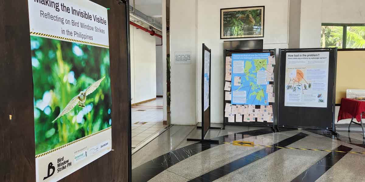 ‘Making the Invisible Visible’ with Bird Window Strike PH