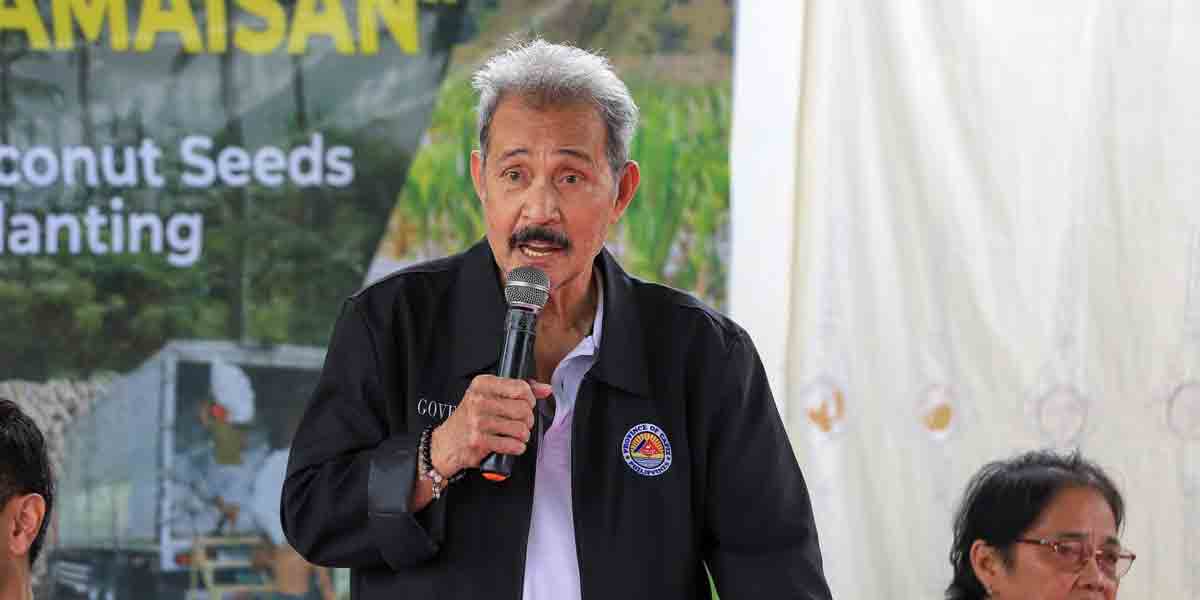 Castro backs RMPH medical center conversion