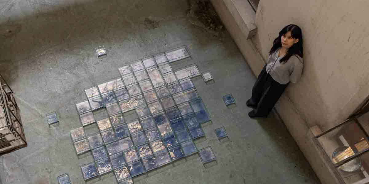 If The Walls Could Talk