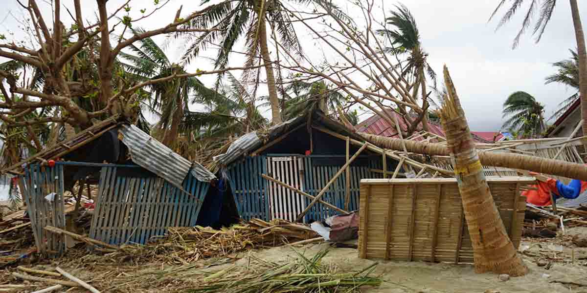 Supertyphoon Pepito: ‘It’s Like the Storm Took An Axe To The Trees’