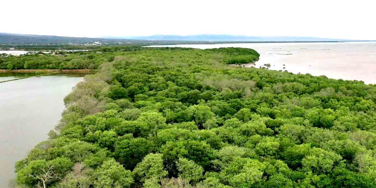 Environmental Advocates Press Marcos on Coastal Greenbelt Bill