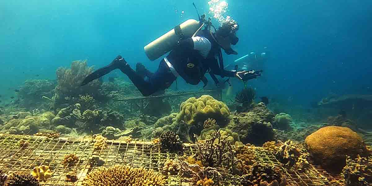 Sarangani Bay Protected Seascape: The Future of PH National Parks?