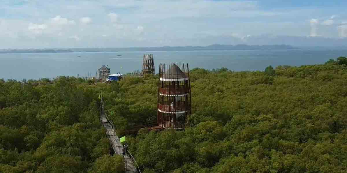 LIKE: From fishponds to mangrove forest