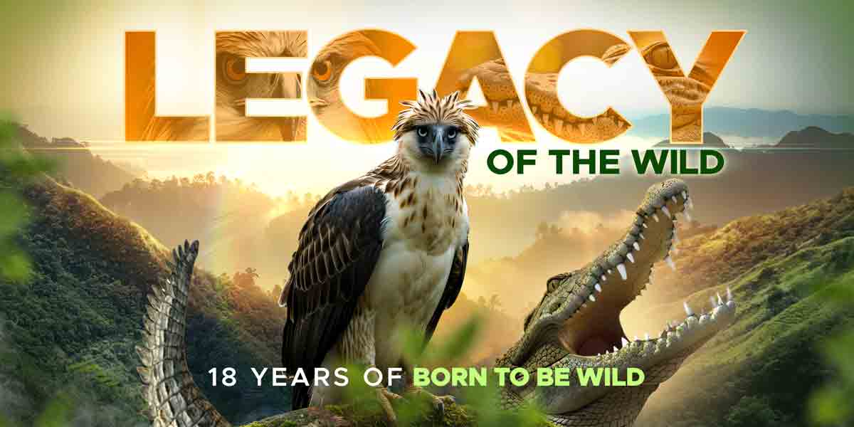 Legacy of the Wild: Born to Be Wild Celebrates 18 Years with Two-Part Anniversary Special