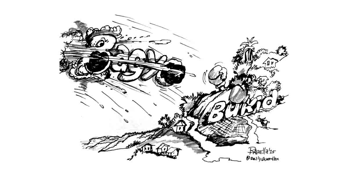 CARTOON FOR NOVEMBER 11, 2025