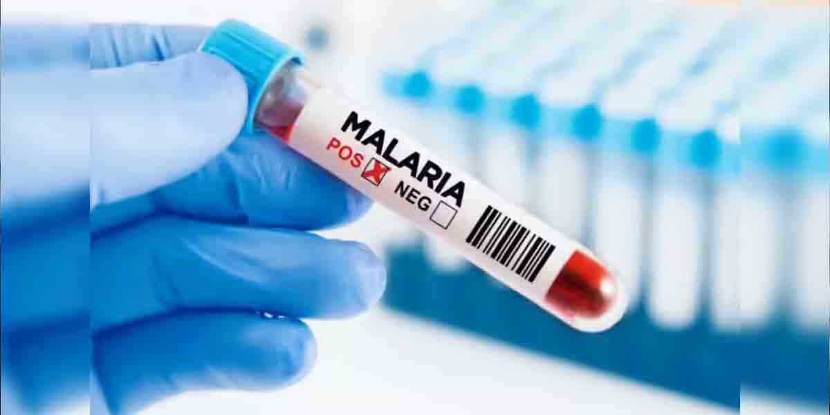 Malaria deaths fall, but resistance threatens progress