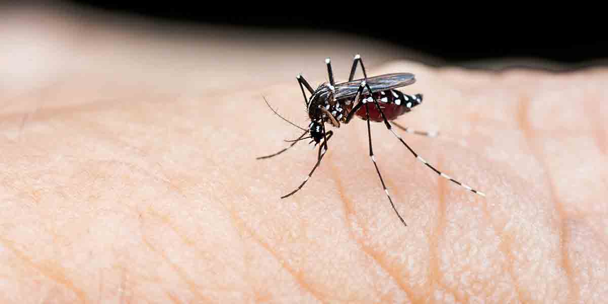 Roxas City tops dengue cases in Capiz
