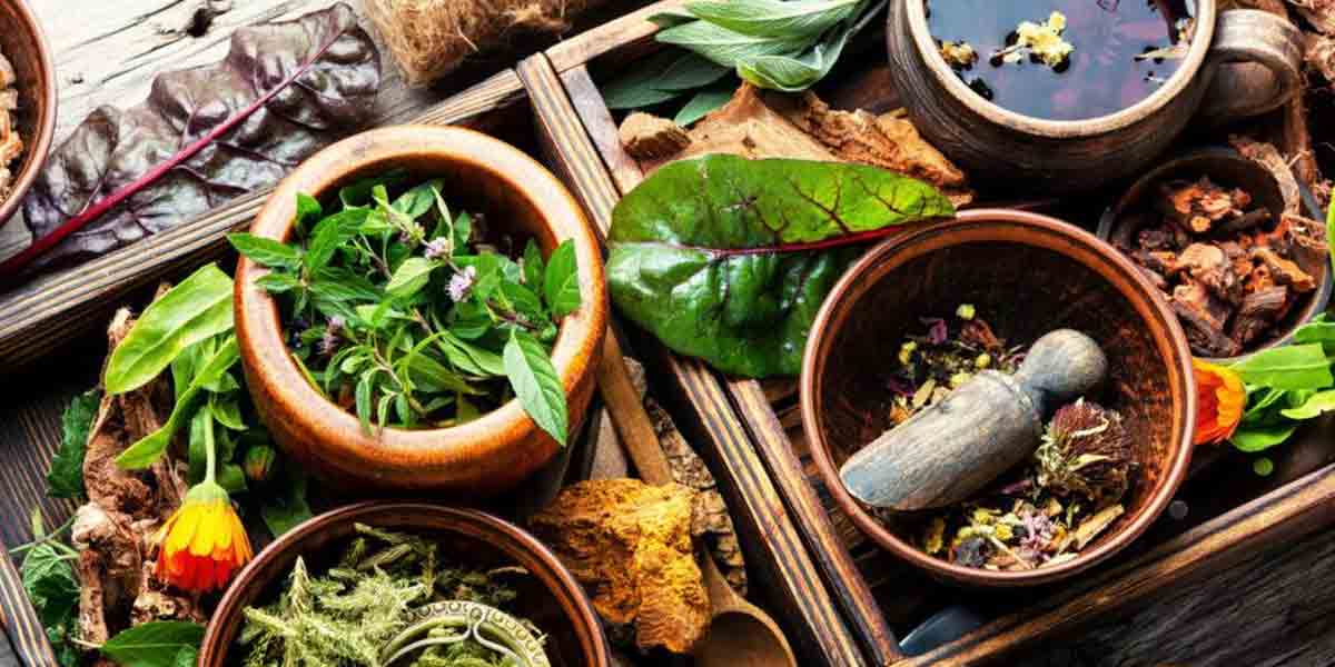 Addressing healthcare inequality: Herbal medicine as an accessible and affordable alternative