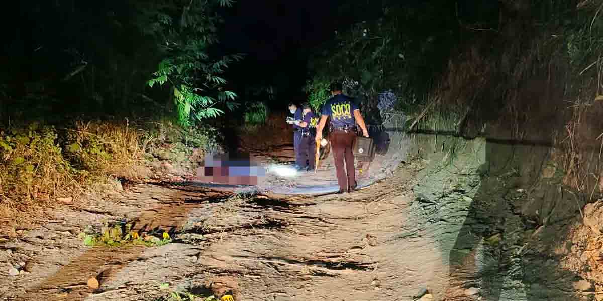 Sugar planter shot dead in Murcia