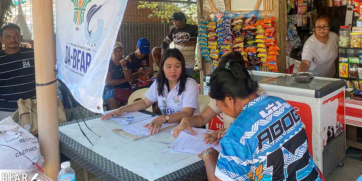 W. Visayas fisherfolk to get  PHP 3,000 fuel subsidy in April