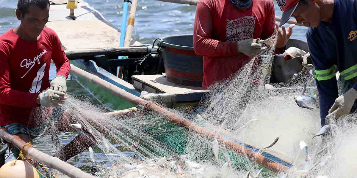 PNP Maritime intensifies anti-illegal fishing campaign